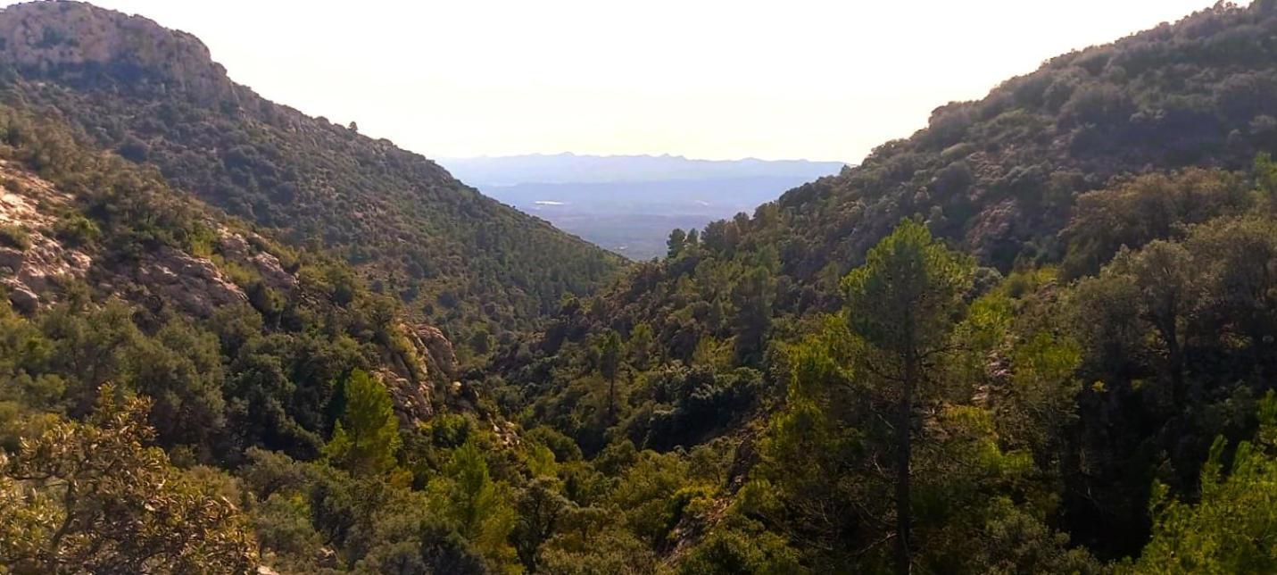 Casa Rural Matilde Caudiel المظهر الخارجي الصورة